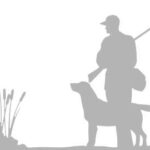 Торока больш. Двойные универсальные